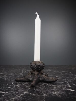 Sea urchin star in stone black finish
