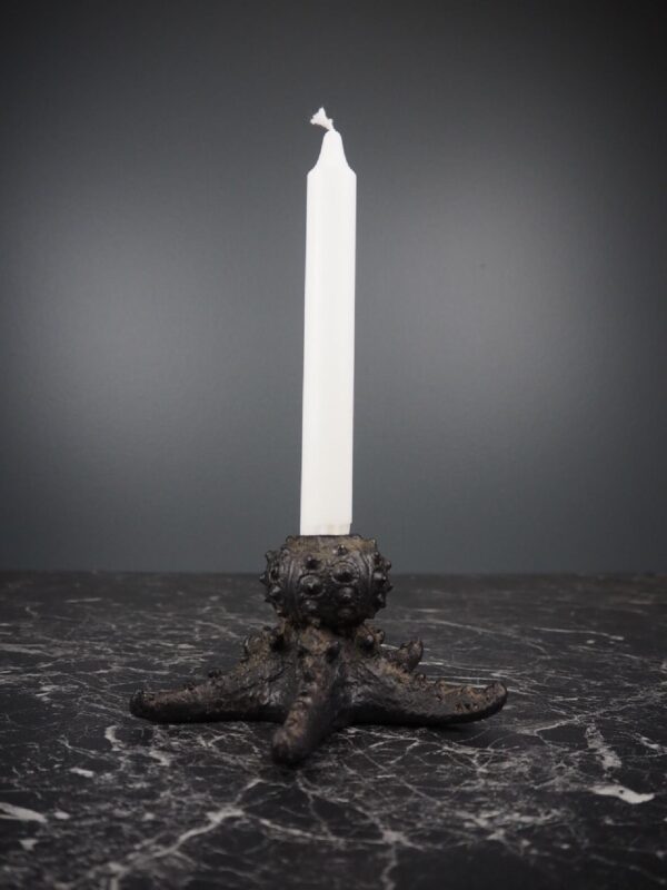 Sea urchin star in stone black finish