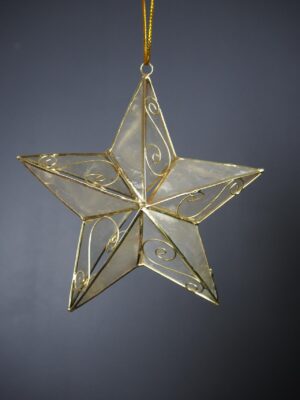 Star 3D 4"