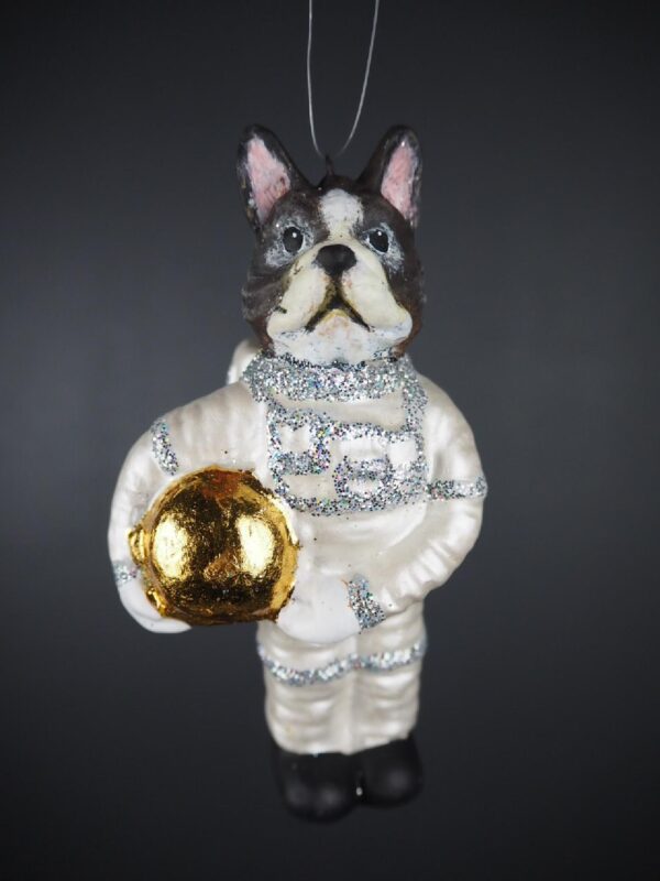 Astrodog in pearl whited suit with sil glits & GL helmet - Image 2