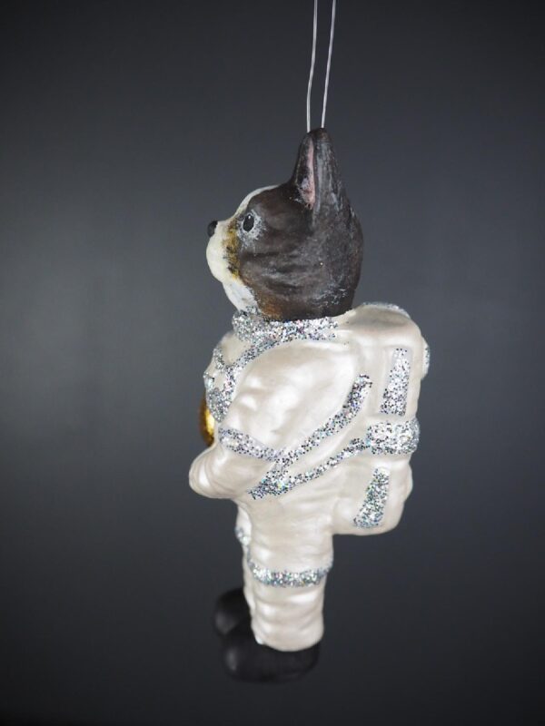 Astrodog in pearl whited suit with sil glits & GL helmet - Image 3
