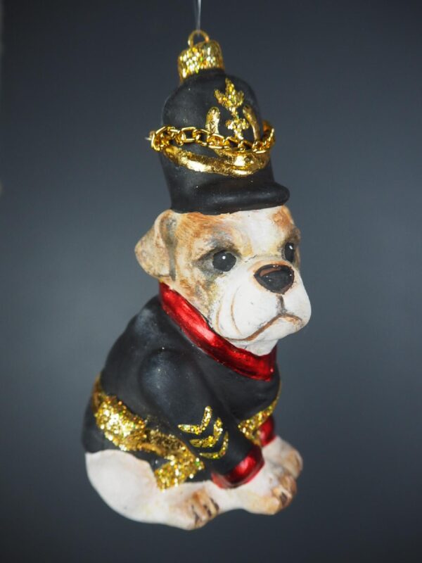 Realistic English dog in blk coat with chain on hat