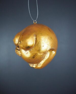Pregnant ball GL ant