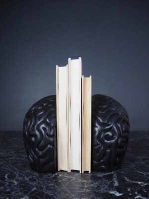 Brain bookend black
