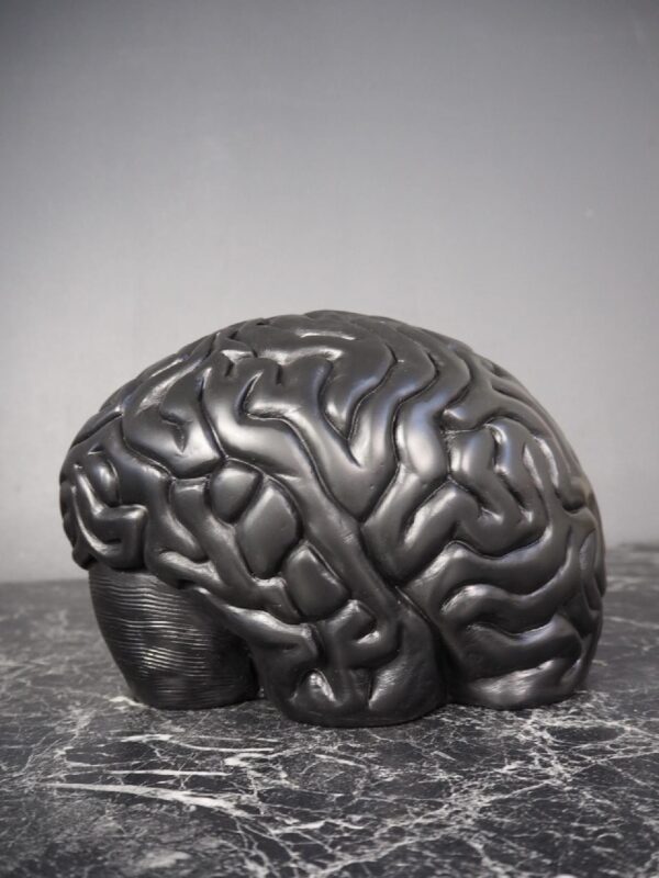 Brain bookend black - Image 4