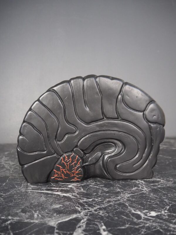 Brain bookend black - Image 5