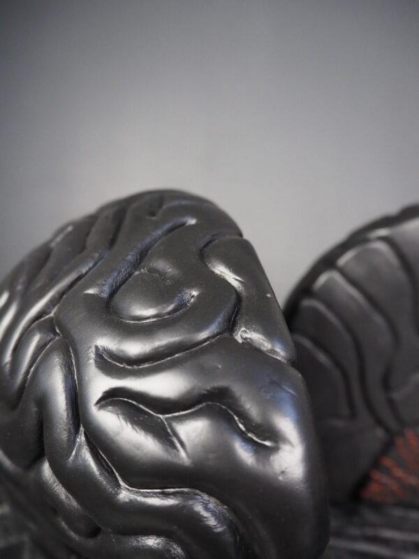 Brain bookend black - Image 6