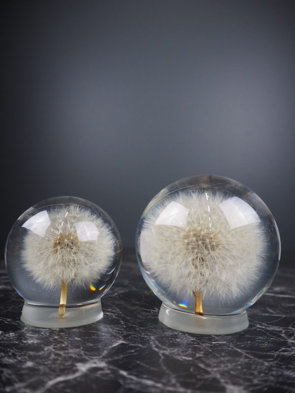 Dandelion - Light bulb Large - Image 3