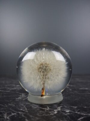 Dandelion - Light bulb Large