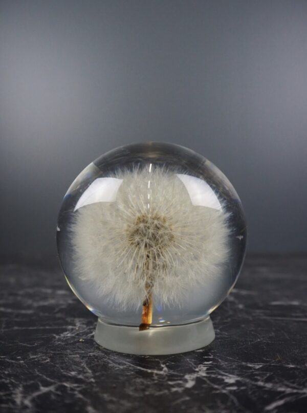 Dandelion - Light bulb Large
