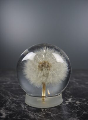 Dandelion - Light bulb small