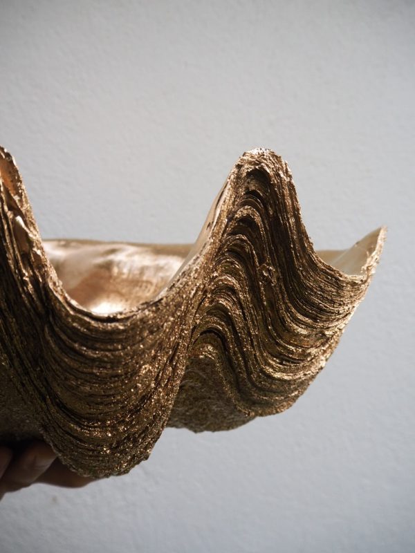 PUERTO GALERA CLAM SHELL GOLD - Image 3