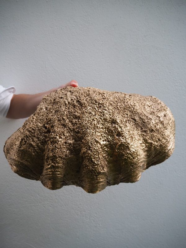 PUERTO GALERA CLAM SHELL GOLD - Image 4