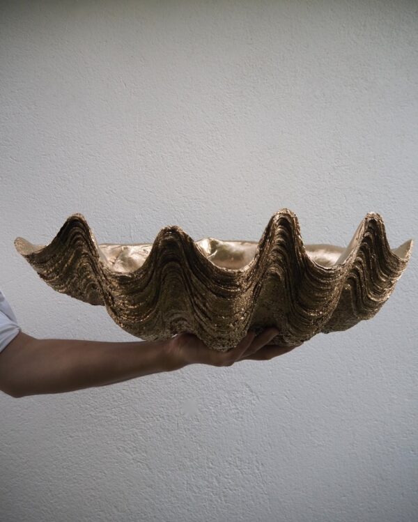 PUERTO GALERA CLAM SHELL GOLD