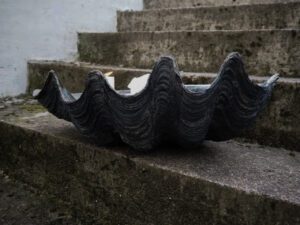 The Puerto Galera Clam shell Aged black