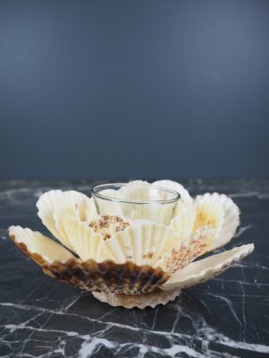 Radiola Shell Tealight 6"