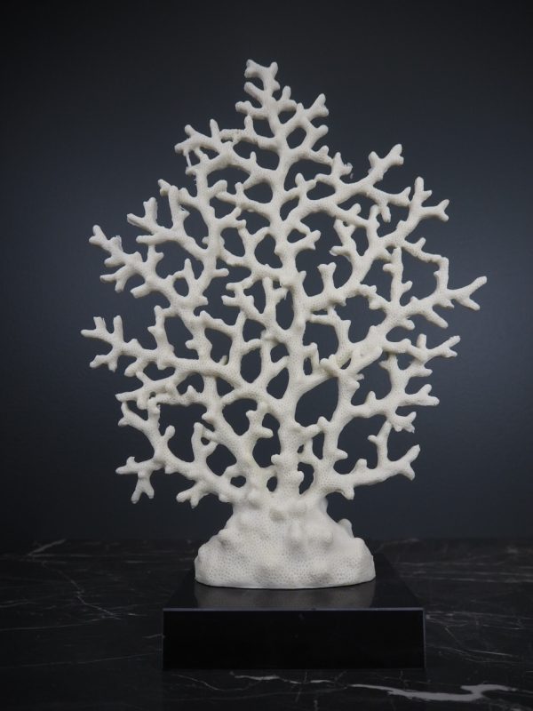 Coral