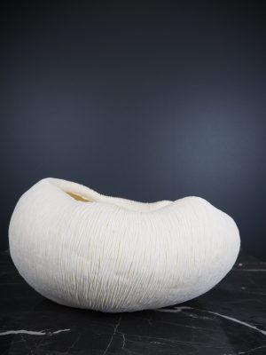 Coral bowl