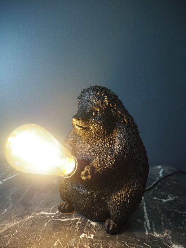 Hedgehog with Light - Image 5