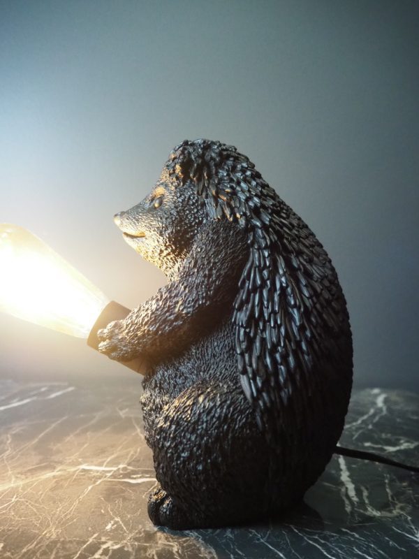 Hedgehog with Light - Image 6