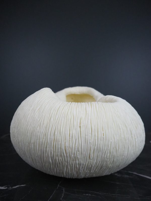 Coral bowl - Image 3