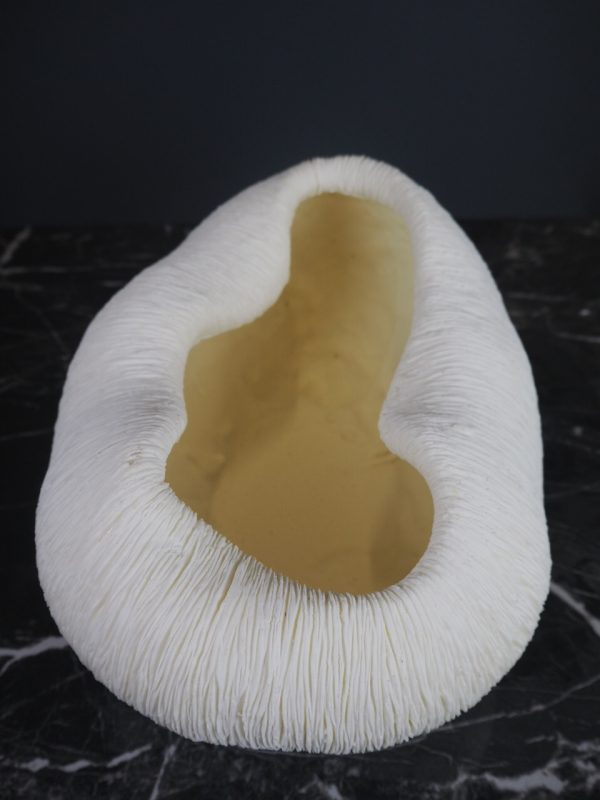 Coral bowl - Image 5