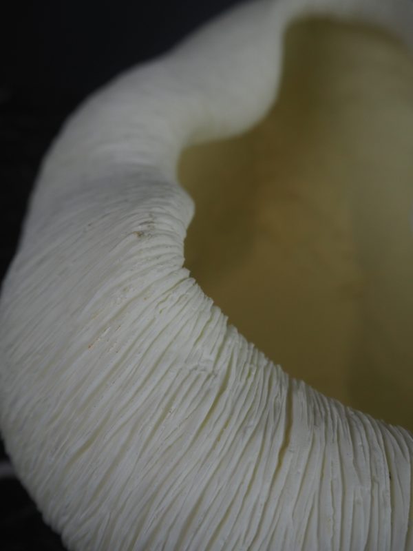 Coral bowl - Image 6