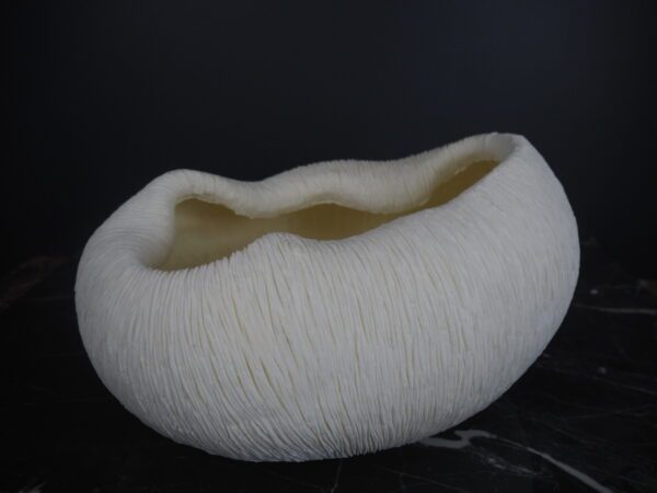 Coral bowl - Image 8