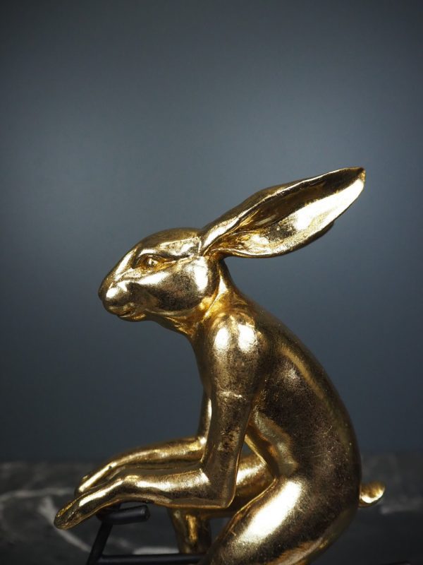 Rabbit on bike - Image 3