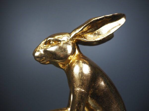 Rabbit on bike - Image 4