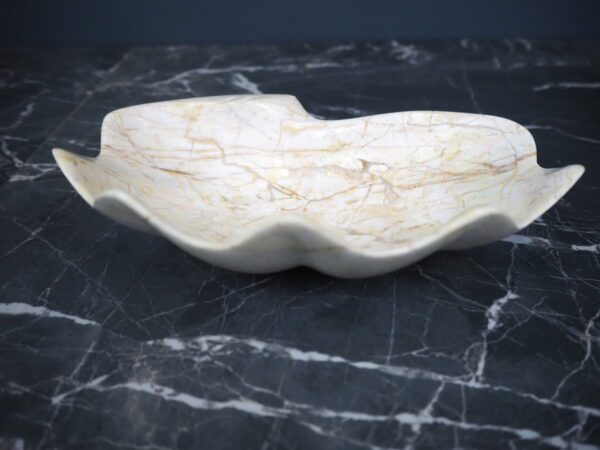 Marble shell century - Image 5