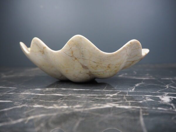 Marble shell century - Image 9