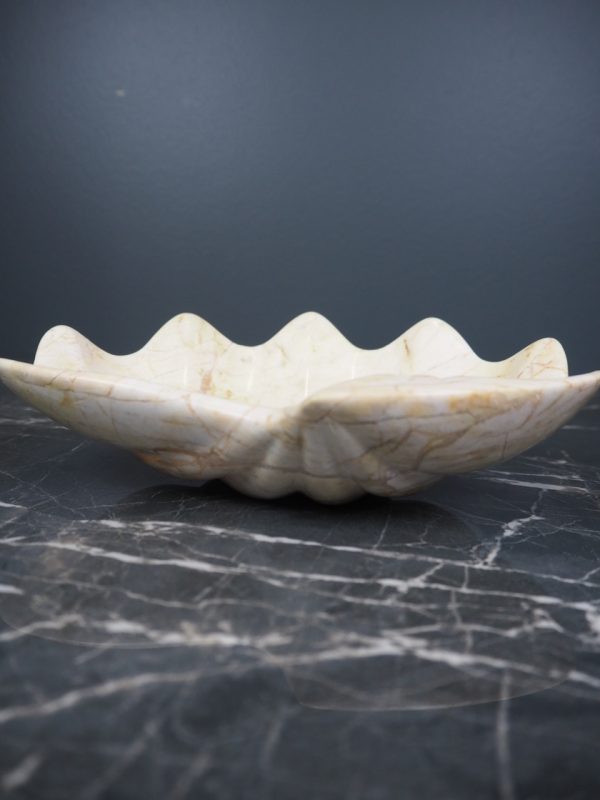 Marble shell century - Image 11