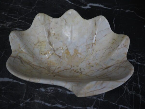 Marble shell century - Image 13