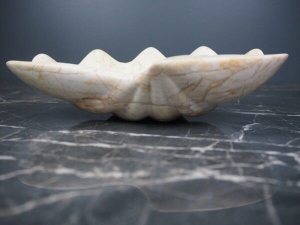 Marble shell century - Image 15