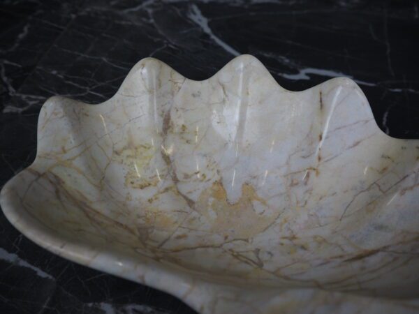 Marble shell century - Image 18