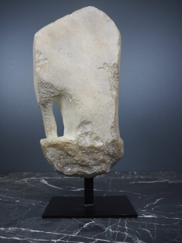 Aphrodite head White - Image 4