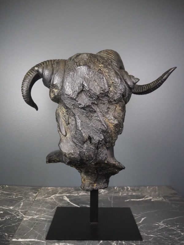 Horn Head Black - Image 6