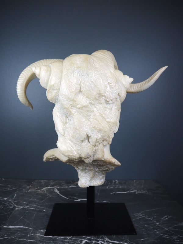 Horn Head White - Image 4