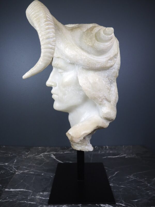 Horn Head White - Image 5