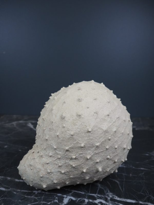 Guyabano  beige  tablepiece - Image 4