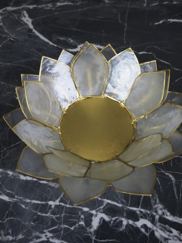 White Natural Shell 8" - Image 2