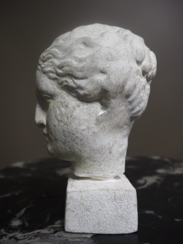 Grecian Bust AntqPlstr - Image 3