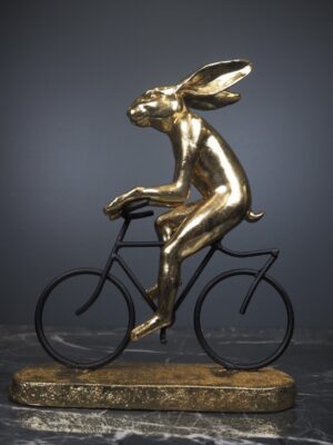 Rabbit on bike