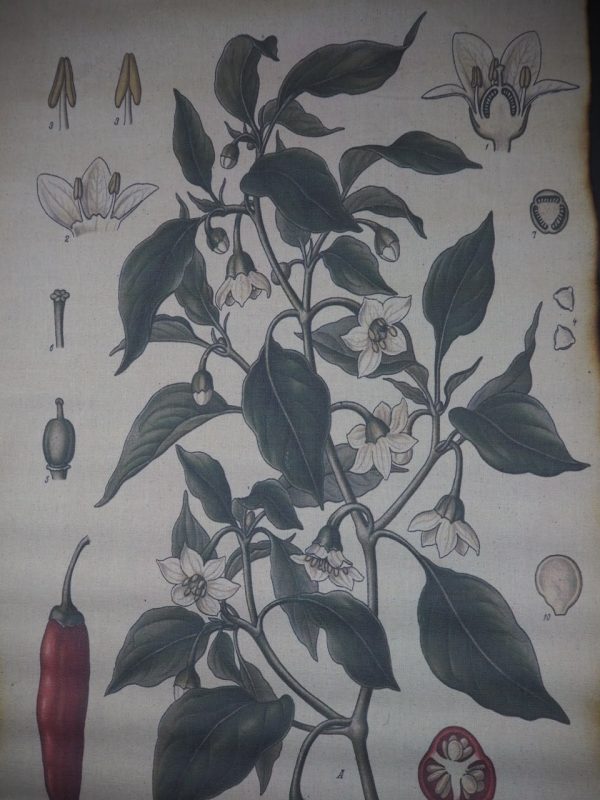 Poster - Image 3