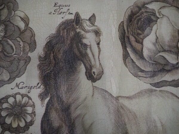 Horse 100X70 - Image 2