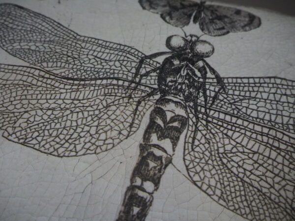 Dragonfly & Butterfly 100*60*2 - Image 3