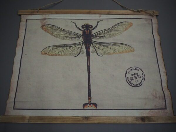 Poster - Image 2