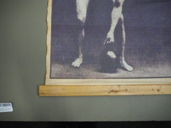 Poster - Image 3