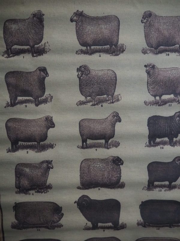 Poster - Image 2